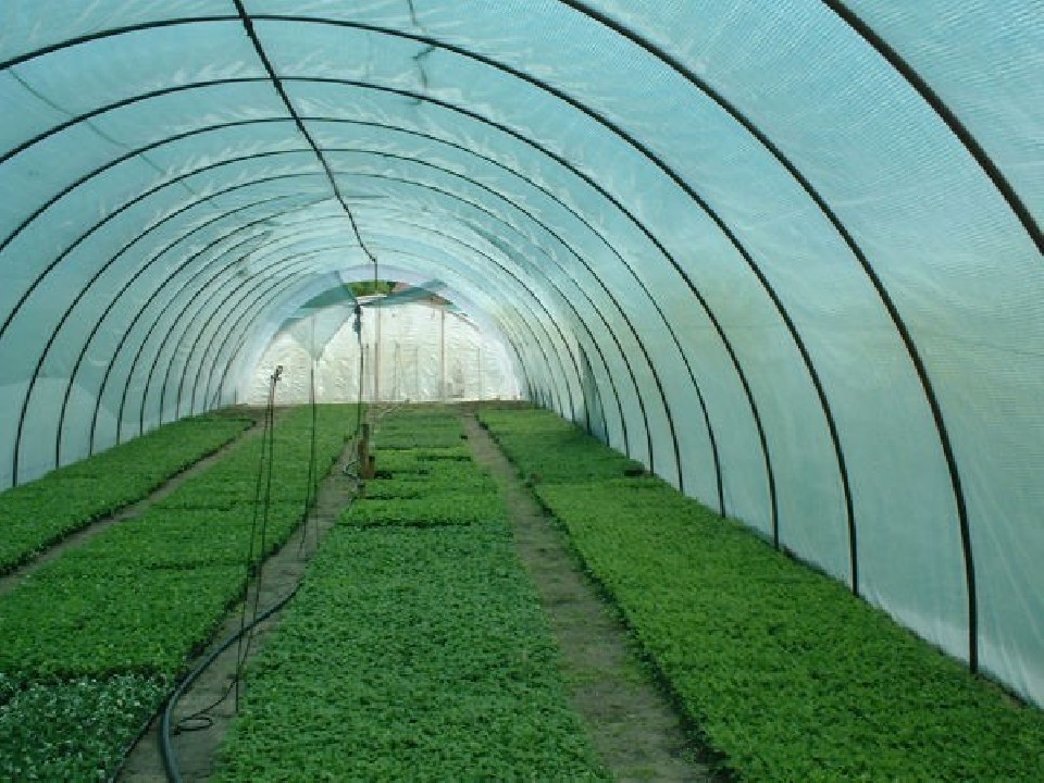 Árnyékoló háló, belátásgátló ULTRALIGHTTEX36 1,5 m x 50 m zöld