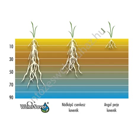 Barenbrug Water Saver fűmag 5kg