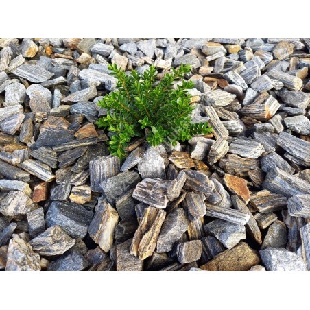 Díszítő kő Kőkéreg 63/250mm