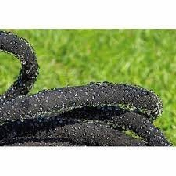 Izzadó tömlő AQUA Drop 1/2" 20m