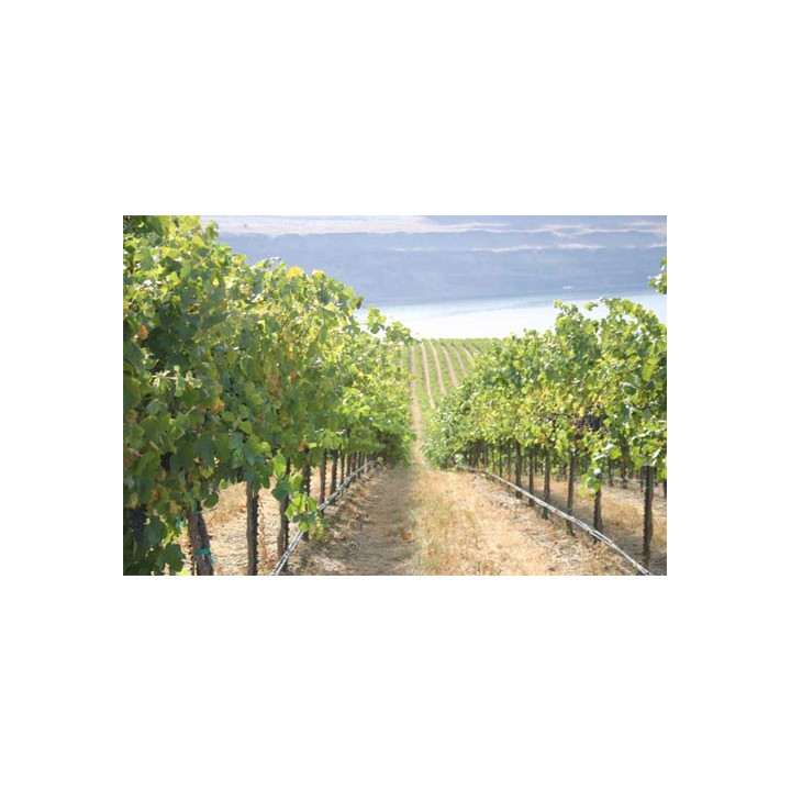 PC csepegtető cső Dynomac PC DN20mm 20cm, 2 l/h, 50 m nyomás kompenzált (föld alá is fektethető)